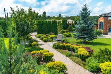 Güzel bitkiler ve çiçeklerle güzel bir manzara.