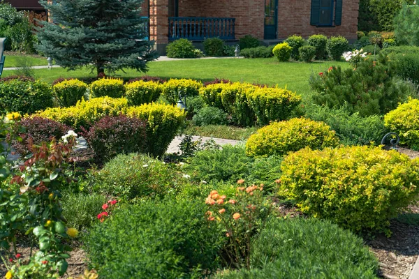 Mooie Landschapsarchitectuur Met Prachtige Planten Bloemen — Stockfoto