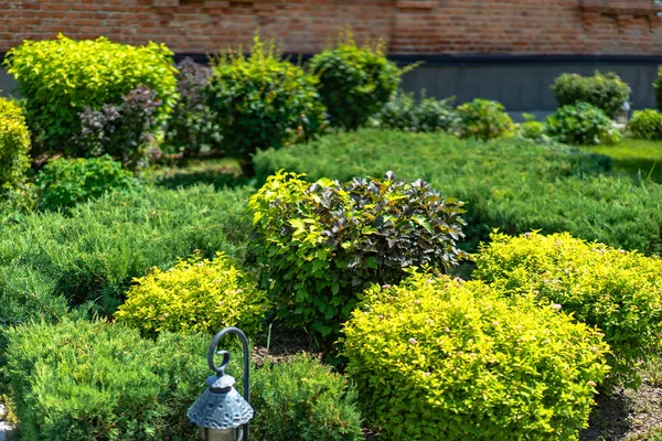 Het Ontwerp Van Het Landschap Prachtige Ideeën Voor Tuin Landscaping — Stockfoto