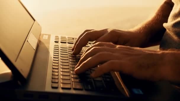 在户外使用笔记本电脑工作的年轻人 河边美丽的夏日日落 — 图库视频影像