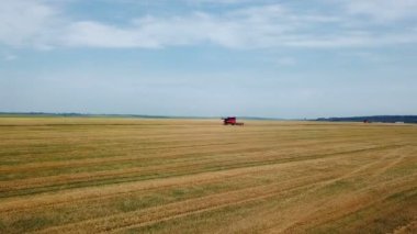 Havadan görünümü üzerinde büyük buğday sahada çalışmak birleştirir. Hasat zamanı. Tarım sektörü