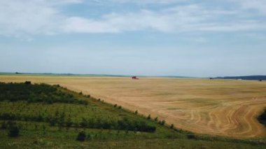 Büyük buğday sahada çalışan Traktörler ve biçerdöverler havadan görünümü. Buğday hasat. Tahıl hasat Birleştir