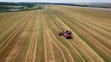 Hasat makine alanında çalışan. Altın olgun buğday alan hasat hasat Tarım makineleri birleştirin. Tarım. Havadan görünümü. Yukarıdan.