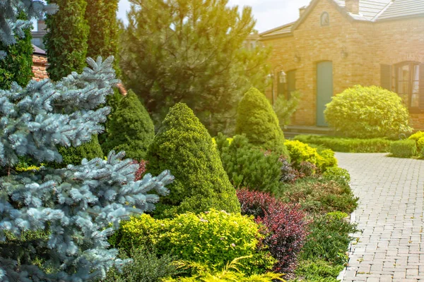 Mooie Landschapsarchitectuur Met Prachtige Planten Bloemen — Stockfoto