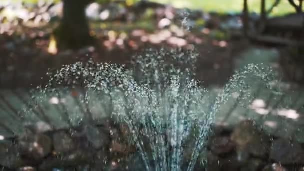 Fontaine Eau Fontaine Dans Jardin Gouttes Eau — Video