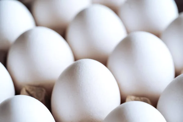 Eggs in a paper tray. White eggs in a box.