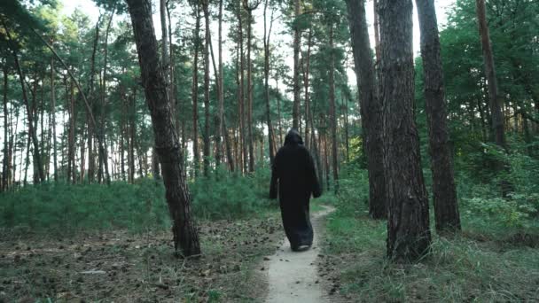Ghost Skogen Horror Scen Ett Läskigt Spöke Mysticismen Halloween — Stockvideo