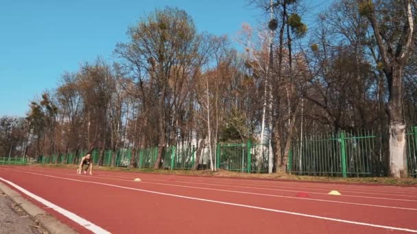 Entrenamiento Verano Aire Libre Mujer Atlética Corriendo Pista Hermoso Cuerpo — Vídeo de stock