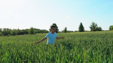 bir çocuk açık elle yazın buğday tarlada çalışıyor. Ağır çekim