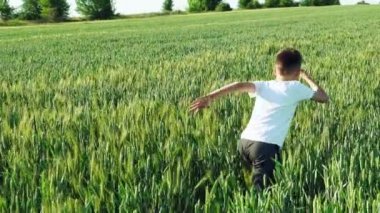 Çocuk sırtı ile sıcak havalarda öğleden sonra buğday alanında üzerinde çalışıyor. Ağır çekim