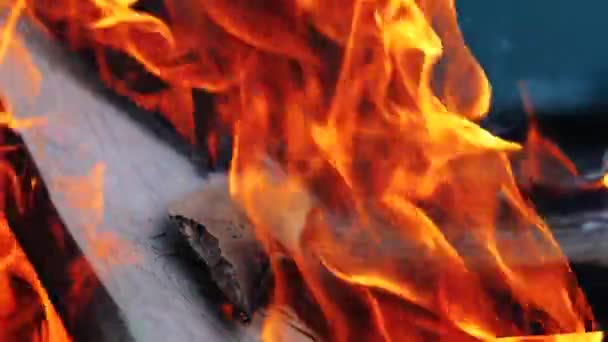 炎の舌が木の板を包み込む — ストック動画