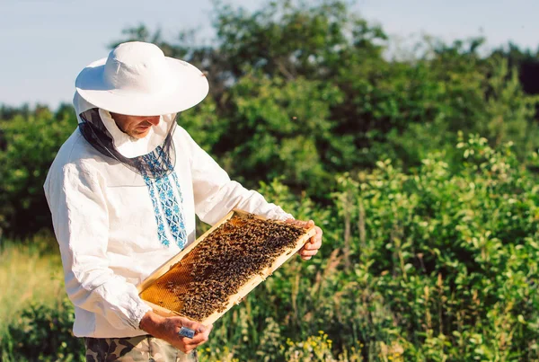 Giovane apicoltore che lavora nell'apiario. Il concetto di apicoltura. Miele da apicoltore — Foto Stock