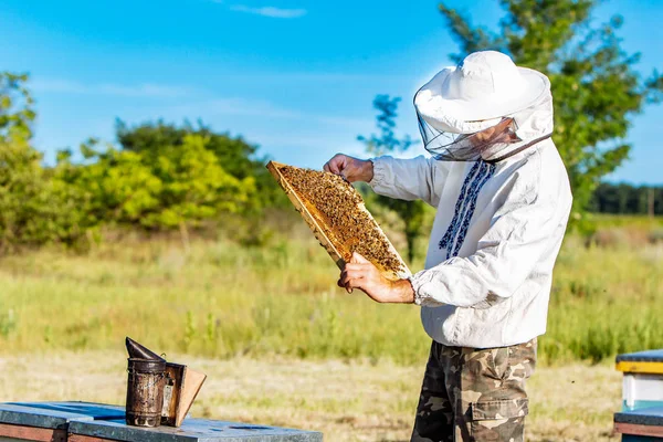 L'apicoltore sta lavorando con api e alveari sull'apiario. Api a nido d'ape. Cornici di un alveare — Foto Stock