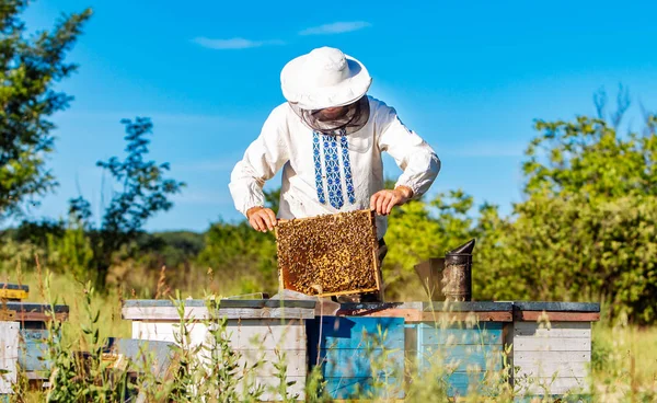 양봉원에서 일하는 젊은 양봉가. 양봉 개념. 꿀을 수확하는 양봉가 — 스톡 사진