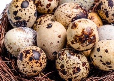 Taze, çiftlik, çiğ bıldırcın yumurtası. Protein diyeti. Sağlıklı beslenme.