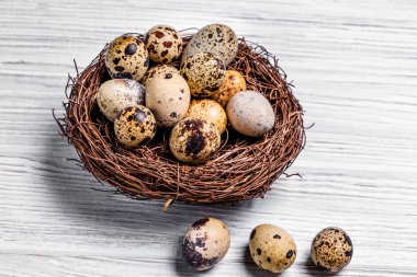 Bıldırcın yumurta yuva içinde ve çevresinde ortaya konulan kenarlık