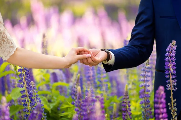 Mani di una sposa e uno sposo nel giorno del matrimonio sullo sfondo del campo di lavanda. Giovane coppia innamorata gode il momento di felicità in estate tra i fiori viola . — Foto Stock