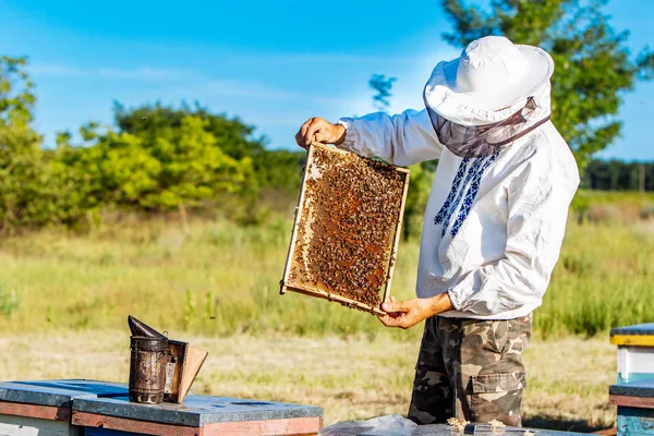 Arı yetiştiricisi yaz günü arıcıda bal peteği çerçevesini inceliyor. Arı kovanında çalışan bir adam. Apiculture. Arıcılık konsepti. — Stok fotoğraf