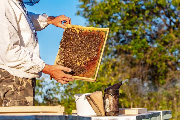 Apicoltore che lavora con le api nel suo apiario. Api sui favi. Cornici di un alveare — Foto Stock