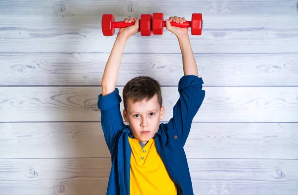 Rapaz sério de camisa azul está segurando halteres sobre a cabeça dentro de casa. Benefícios do treinamento físico. Adolescente se exercitando com dois halteres vermelhos no fundo com espaço vazio . — Fotografia de Stock
