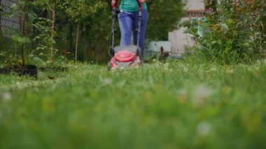 Kadın yazın bahçede çim biçme makinesiyle çimleri biçiyor.