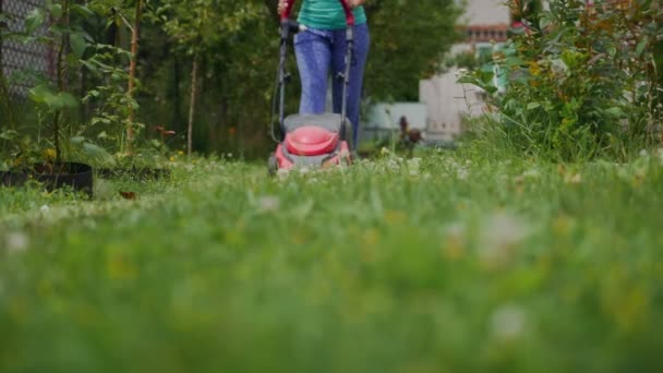 Kobieta Kosi Trawę Kosiarką Ogrodzie Latem — Wideo stockowe