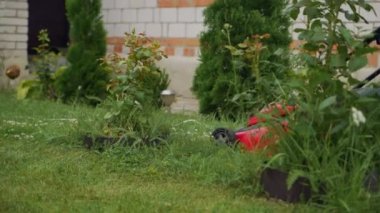 Bir kadın evin yanında çim biçme makinesiyle çimenleri biçiyor. Bahçedeki dekoratif ağaçların arka bahçesinde.