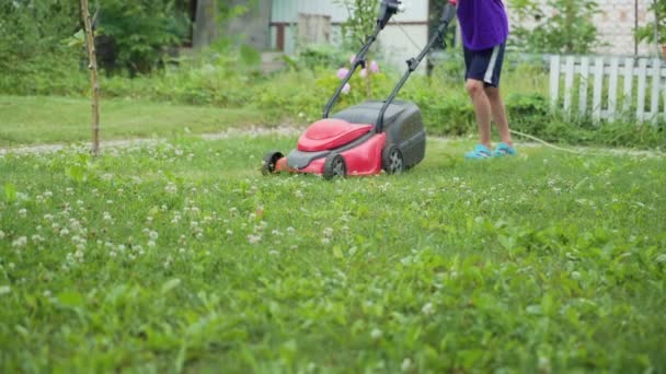 人们在院子里用割草机干活 割草机正在割草 — 图库视频影像