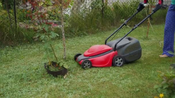 Flicka Klipper Gräs Genom Gräsklippare Runt Blomkrukor Med Rosor Trädgården — Stockvideo