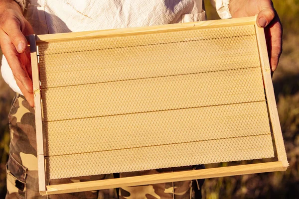 Rahmen eines Bienenstocks. Honigernte im Bienenhaus. Gesunde Ernährung. Bienenwaben. — Stockfoto