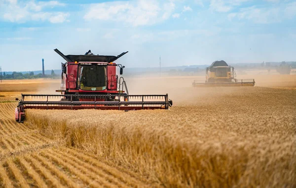 Combine la cosechadora trabajando en el campo de trigo. El sector agrícola —  Fotos de Stock