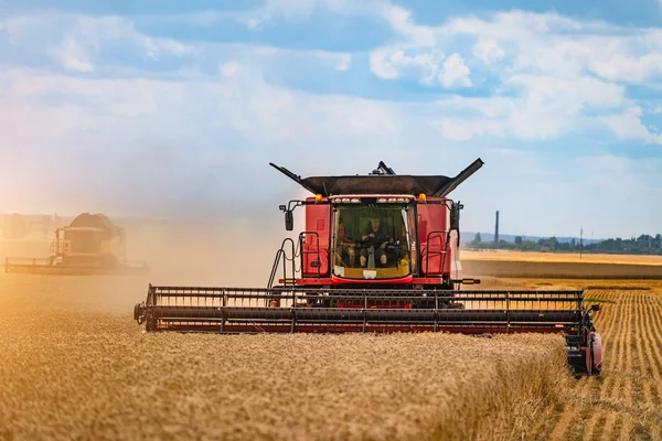 Mähdrescher im Einsatz auf einem Weizenfeld. Ernte ist der Prozess der Ernte einer reifen Ernte von den Feldern. — Stockfoto