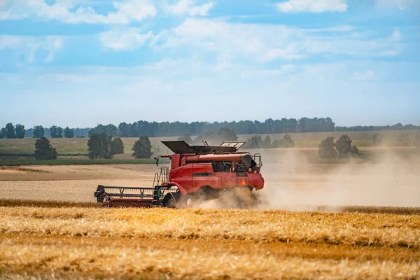 Gabungkan pemanen dalam aksi di lapangan. Gabungan pemanen. Memanen mesin untuk memanen ladang gandum . — Stok Foto