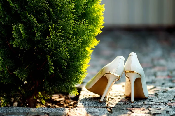 Крупним планом весільне взуття біля зеленого куща. Весільна підготовка. Білі туфлі на високих підборах. Весільні аксесуари . — стокове фото