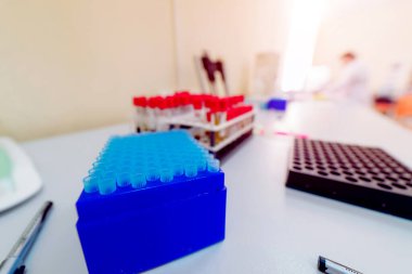 Kan testi tüpleri. Bir raftaki kan örnekleri. Yakın çekim..