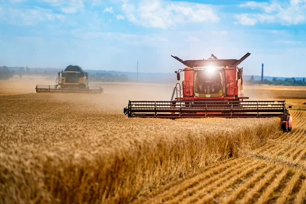 La raccolta dei cereali si combina in una giornata di sole. Campo giallo con grano. Lavori tecnici agricoli in campo. — Foto Stock