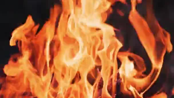 Яркое Пламя Огня Оранжевые Языки Костра Танцующие Тёмном Фоне Пылающий — стоковое видео