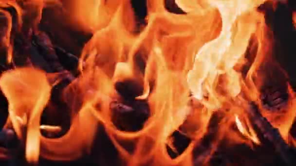 Yanmış Odunların Üzerinde Parlak Bir Ateş Yavaş Hareket Eden Turuncu — Stok video
