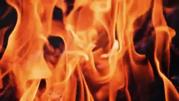 Güzel Bir Yangın Arka Planı Akşam Karanlığında Şenlik Ateşinin Kırmızı — Stok video