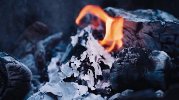 Ciemne Dymiące Kłody Spalonym Ogniu Drewno Opałowe Żar Lekko Płoną — Wideo stockowe