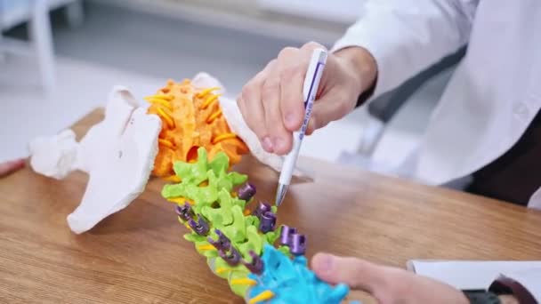 Plastikmodell Menschlicher Wirbel Arzt Erzählt Von Wirbelsäulenarbeit Einem Bunten Modell — Stockvideo