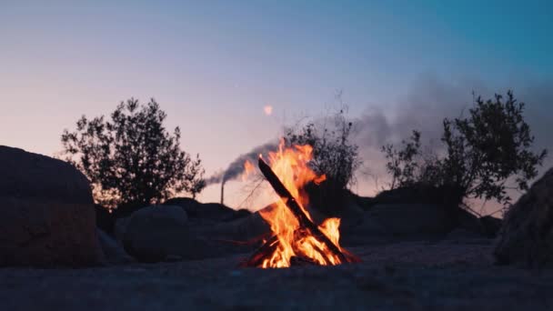 Brandend Kampvuur Een Zomeravond Naast Het Bos — Stockvideo