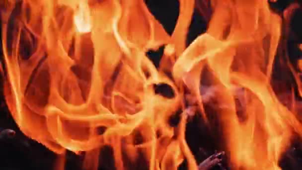 Burning Fire Bonfire Closeup Flames Burning Black Background Slow Motion — Stock Video