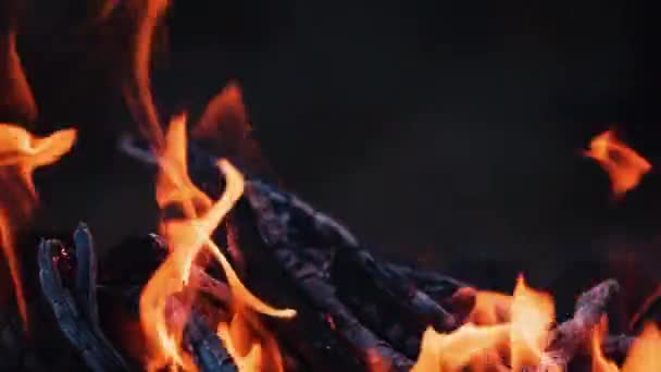 Het Kampvuur Brandt Nachts Vuurvlammen Zwarte Achtergrond Slow Motion — Stockvideo