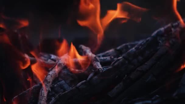 Tábortűz Éjszaka Tűz Lángjai Fekete Háttérrel Lassított Felvételen — Stock videók