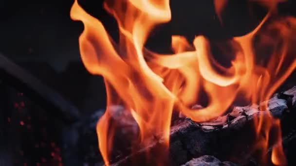 暖炉と炎の中で薪を燃やす — ストック動画