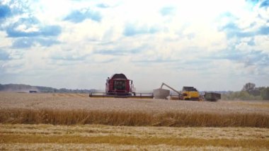 Mevsimlik işlerde tarım makineleri. Büyük hasatçı, güneşli bir yaz gününde buğday mahsulünü topluyor. Buğday toplama işlemi.