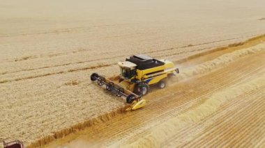 Buğday hasadında tarım makineleri. Mevsimsel çalışmalar sırasında altın tarlada birlikte çalışan iki modern kombinasyon. Hava görünümü.