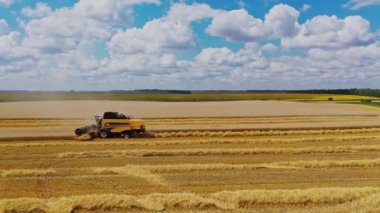 Tarımla uğraşan tarımsal birleşme. Kırsal kesimdeki güzel yaz manzarasının arka planında tahıl hasat eden modern makineler..