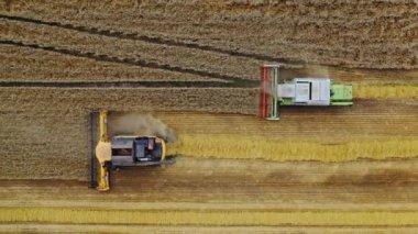 Saha üzerinde yaz aylarında kombinasyonlarla uçmak. İki tarım makinesi tarım arazilerinde olgunlaşmış buğday topluyor. Hava görünümü.